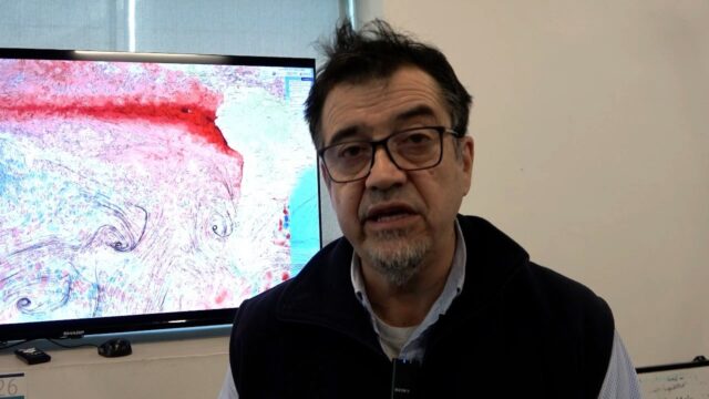(Es) Doctor en oceanografía del IFOP, Jaime Letelier, explica el impacto del “Fenómeno del Niño” en las pesquerías