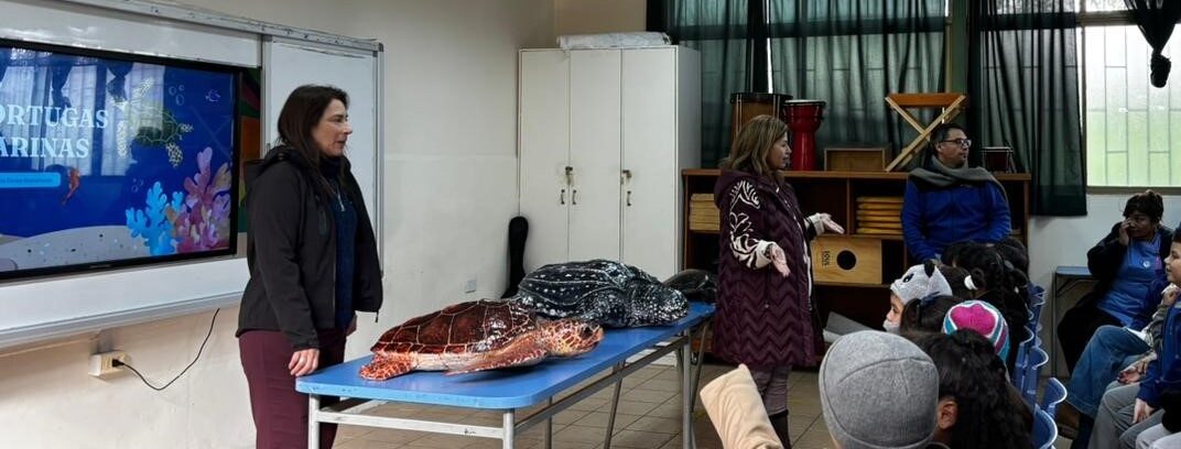 (Es) IFOP visita Colegio King Edwards de Quilpué para dar a conocer el mundo de las tortugas marinas