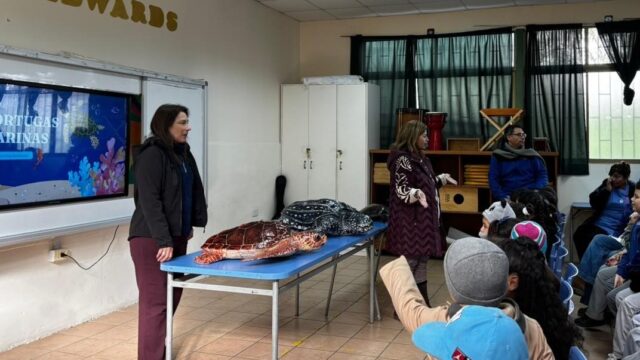 (Es) IFOP visita Colegio King Edwards de Quilpué para dar a conocer el mundo de las tortugas marinas