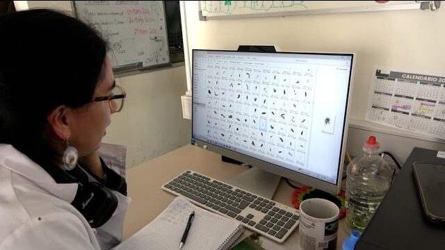 (Es) Laboratorio Zooplancton IFOP