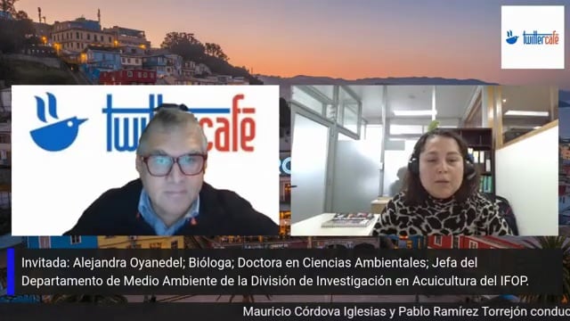 (Es) Entrevista a Alejandra Oyanedel, Investigadora, programa TWITTERCAFE, Radio Portales, 31 julio 2026