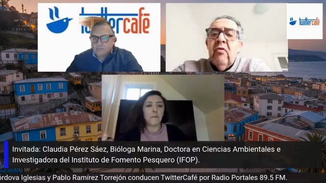(Es) Entrevista a Claudia Pérez, Investigadora, programa TWITTERCAFE, Radio Portales, 07 de agosto 2026