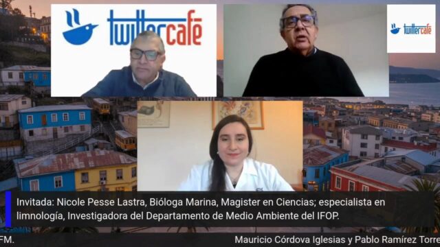 (Es) Entrevista a Nicole Pesse, Investigadora, programa TWITTERCAFE, Radio Portales, 14 de agosto 2026
