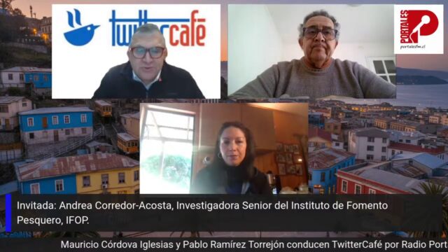 Entrevista a Andrea Corredor Acosta, Investigadora, programa TWITTERCAFE, Radio Portales, 21 de agosto 2026