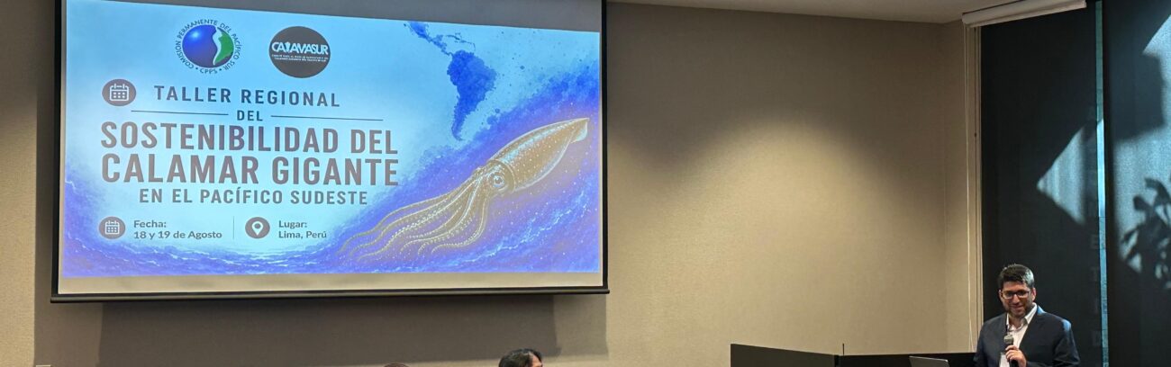 (Es) IFOP presente en Taller regional de sostenibilidad del calamar gigante en el Pacífico sudeste