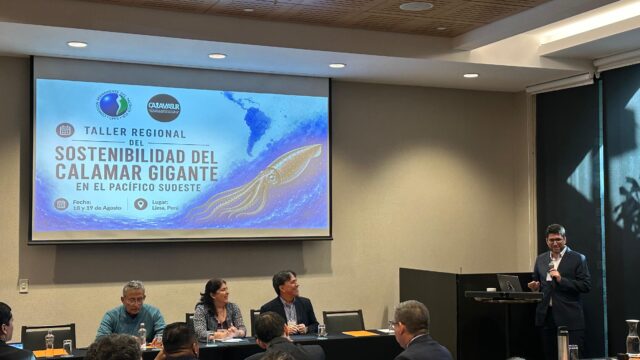 IFOP presente en Taller regional de sostenibilidad del calamar gigante en el Pacífico sudeste