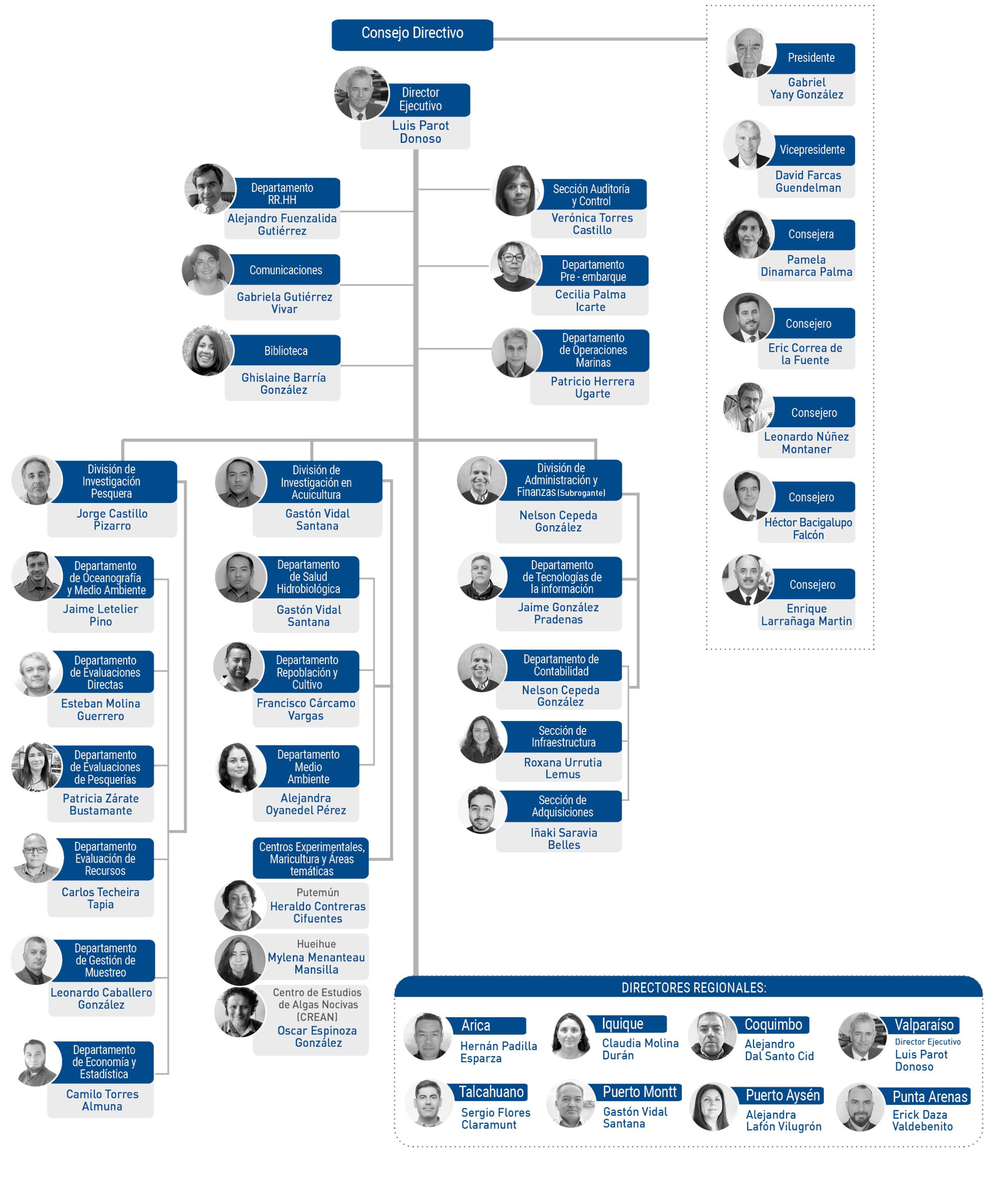 Organigrama IFOP
