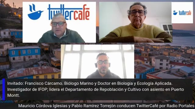 Entrevista a Francisco Cárcamo, Investigadora, programa TWITTERCAFE, Radio Portales, 21 de agosto 2026