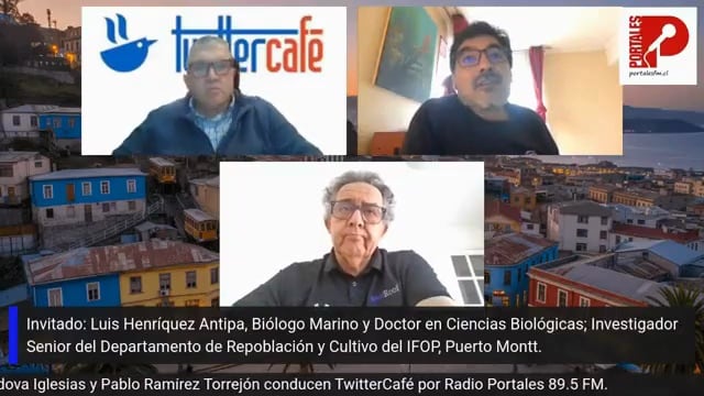 (Es) Entrevista a Luis Henríquez, Investigador, programa TWITTERCAFE, Radio Portales, 21 de agosto 2026