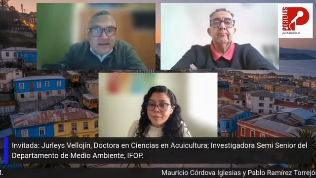 (Es) Entrevista a Jurleys Vellojin, Investigadora, programa TWITTERCAFE, Radio Portales, 16 de septiembre 2026
