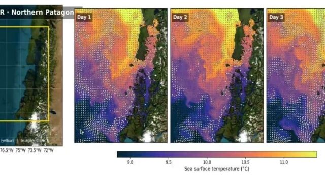 Oceanografía y pronósticos: IFOP aborda herramientas para la gestión acuícola