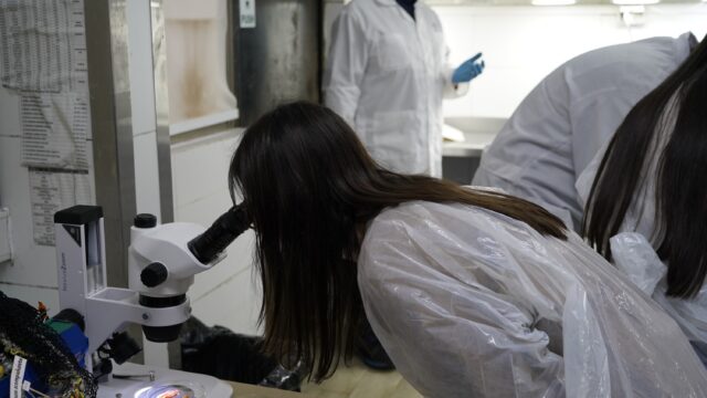 Colegio Santa Bernardita de Talcahuano, visita sede IFOP