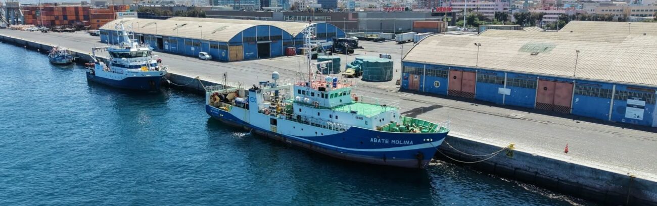 (Es) IFOP evalúa el stock desovante de anchoveta en el norte de Chile en el marco de un intenso evento El Niño