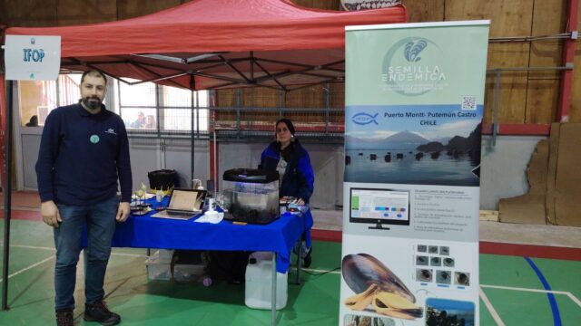 Participación de IFOP en la II Feria Científica, Tecnológica y Medioambiental de Castro