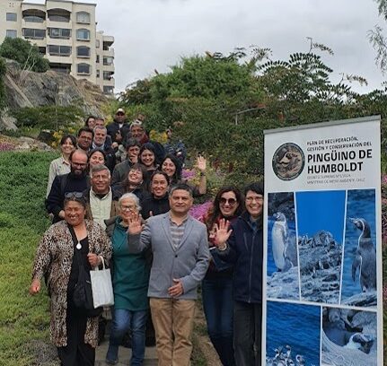 (Es) Conforman mesa regional del plan RECOGE para la conservación del Pingüino de Humboldt de la Región de Coquimbo.