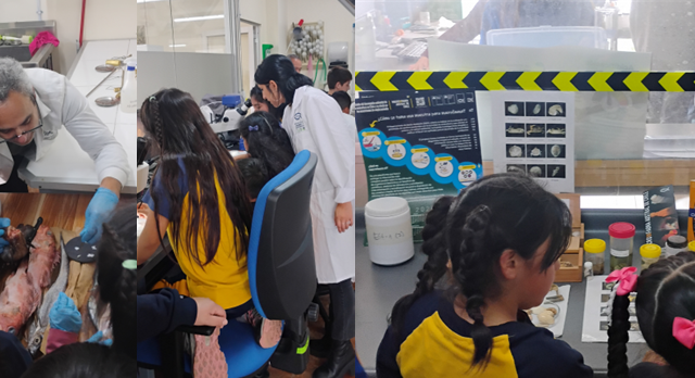 (Es) IFOP Puerto Montt acerca la investigación científica a estudiantes y muestra cómo se estudian los ecosistemas acuáticos de Chile